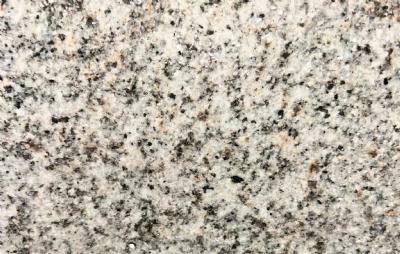 salg af Trin grå indisk granit