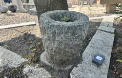 salg af Trug konisk råkløvet