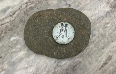 salg af Strandsten med stjernetegn glas