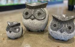 ugle buttet flere størrelser