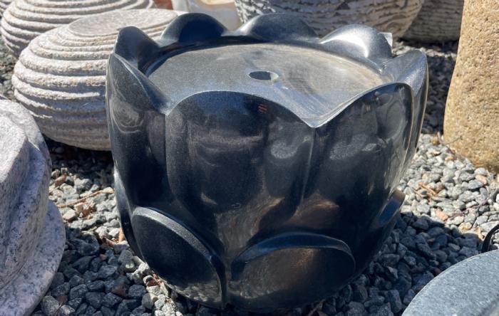 salg af Vandsten blomsterknop