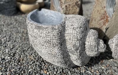 salg af Vandsten konkylie rå sort