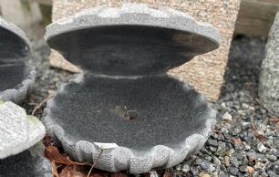 Vandsten østers granit