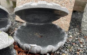 Vandsten østers grå granit