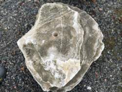 onyx 2