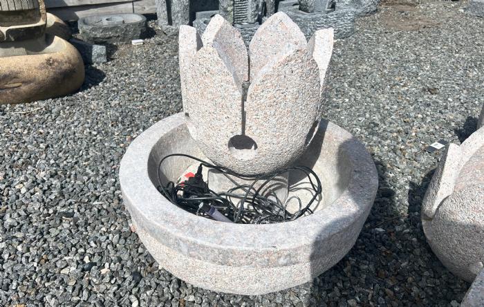 salg af Vandsten reservoir Blomst med kar