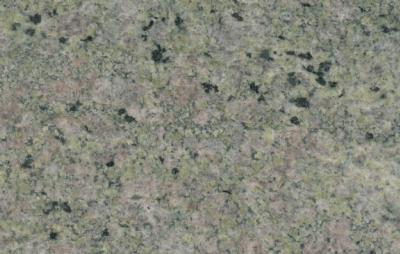 salg af Vindueskarm Green Rose 148 x 37 cm