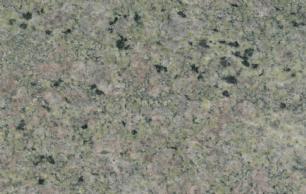 Vindueskarm Green Rose