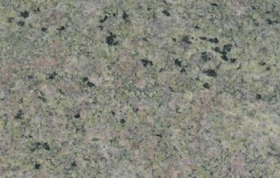 salg af Vindueskarm Green Rose